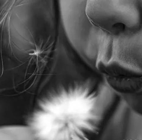 دانلود آهنگ جدید شاهین زین العابدین زاده بنام الینی ور الیمه